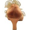 Very Fine Ladies Standard, Smooth Dance Shoes - Salsera Series SERA5517 - Flamingo Sportswear