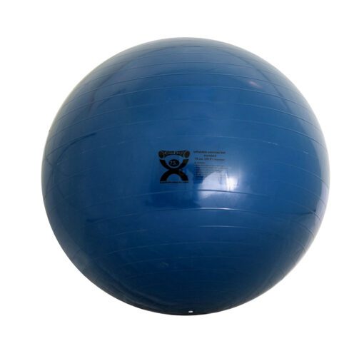Discover the Versatile Cando Inflatable Ball in Blue | Flamingo Sportswear