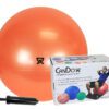 CanDo Inflatable Exercise Ball - Economy Set - Orange - 22 inch: Ball, Pump, Retail Box